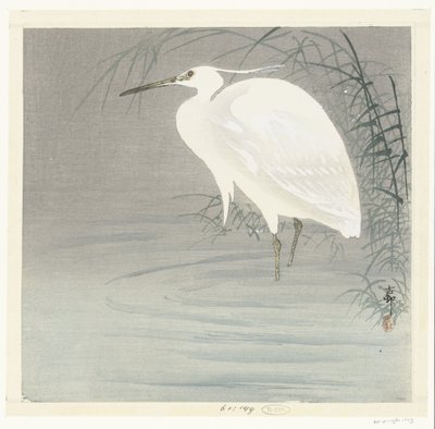 Mała Czapla autorstwa Ohara Koson