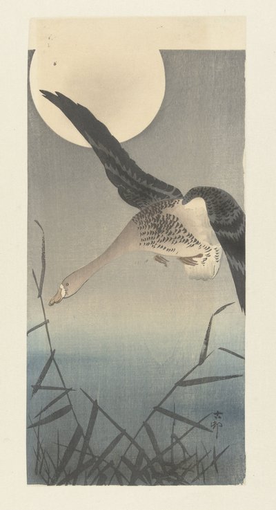 Gęś białoczelna w pełni księżyca autorstwa Ohara Koson