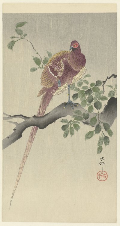 coperfazant autorstwa Ohara Koson