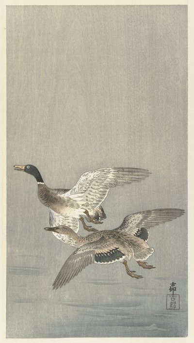 Para kaczek autorstwa Ohara Koson