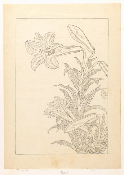 Lelie autorstwa Ohara Koson