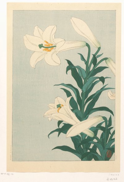 Lelie autorstwa Ohara Koson
