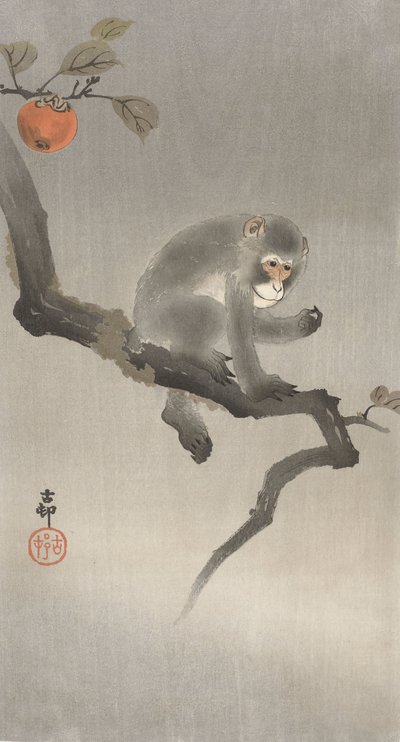Małpa na drzewie owocowym, 1900-30 (kolorowy drzeworyt) autorstwa Ohara Koson