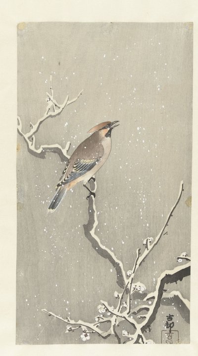 Jemiołuszka na śnieżnej gałęzi autorstwa Ohara Koson