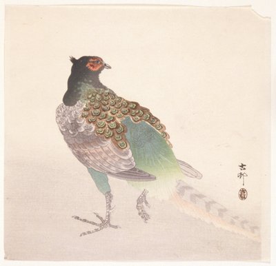 Bażant (drzeworyt kolorowy) autorstwa Ohara Koson