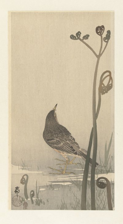 Sygnał dźwiękowy na nabrzeżu autorstwa Ohara Koson
