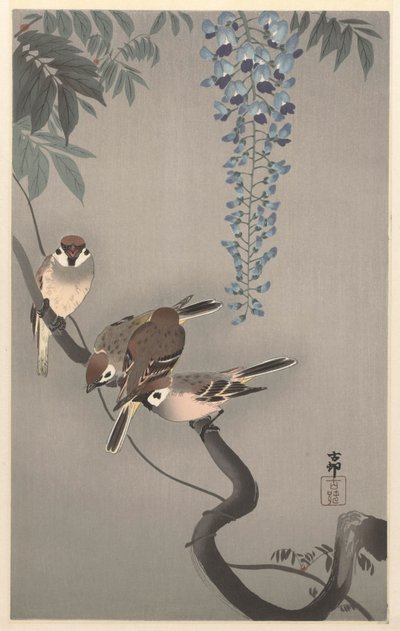 Wróble pierścieniowe na glicyniach autorstwa Ohara Koson