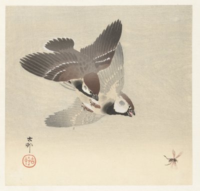 Wróble i owady autorstwa Ohara Koson