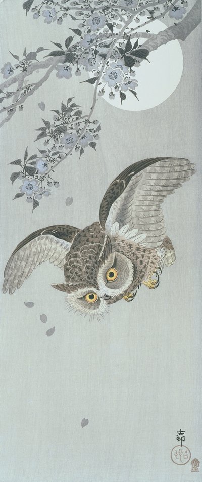Łyżka sowa w locie z kwiatem i pełnią księżyca (kolorowy drzeworyt) autorstwa Ohara Koson
