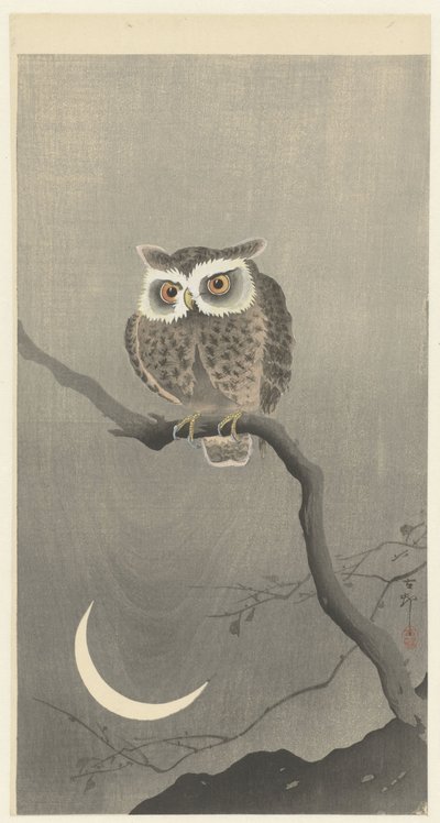 Sowa Scops na gałęzi z półksiężycem autorstwa Ohara Koson