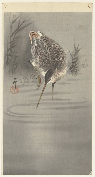 Ciepnij w wodzie autorstwa Ohara Koson