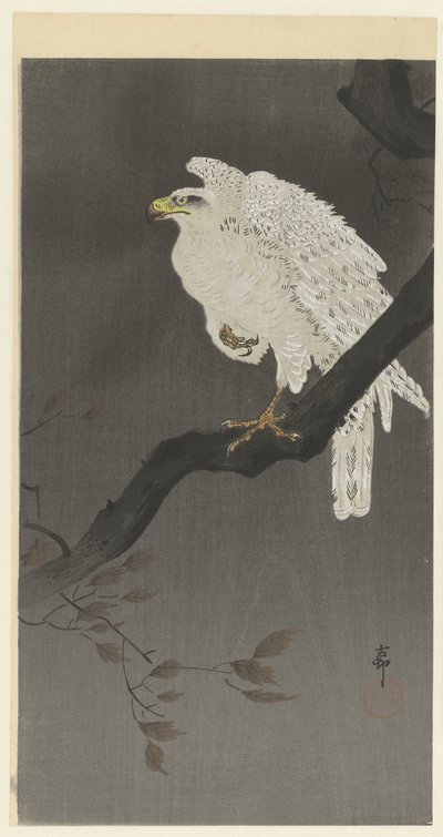 Orzeł śnieżny na gałęzi autorstwa Ohara Koson