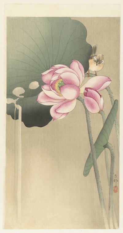 Ptak śpiewający i Lotos autorstwa Ohara Koson