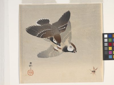 Wróble w pogoni za latającym owadem (drzeworyt kolorowy) autorstwa Ohara Koson