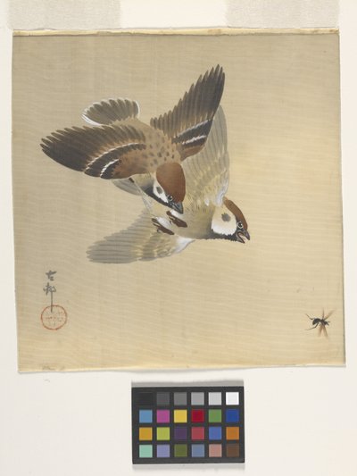 Wróble goniące latające owady (tusz i kolor na jedwabiu) autorstwa Ohara Koson