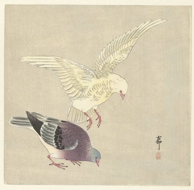 Dwa gołębie autorstwa Ohara Koson