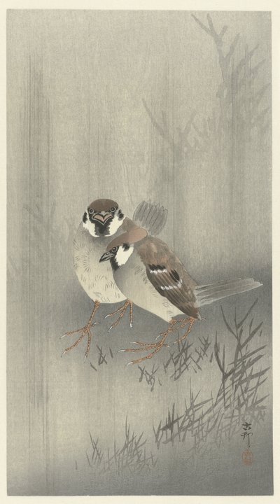 Dwa wróble pierścieniowe w deszczu autorstwa Ohara Koson