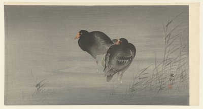 Dwa Kokosy autorstwa Ohara Koson