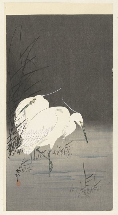 Dwie czaple w trzcinach autorstwa Ohara Koson