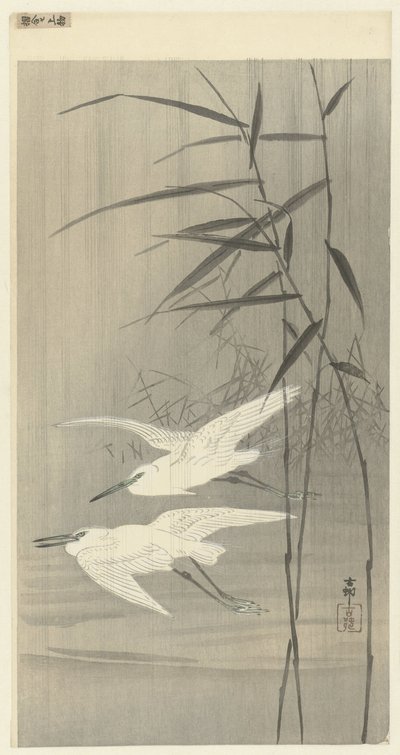 Dwie czaple w locie autorstwa Ohara Koson