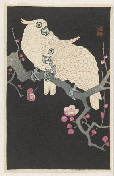 Dwie kakadu i kwiat śliwy autorstwa Ohara Koson