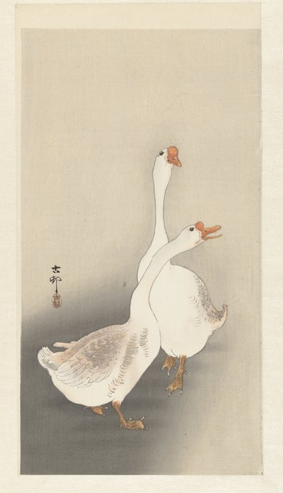 Dwie gęsi autorstwa Ohara Koson