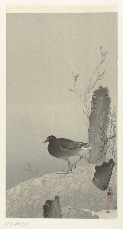 Waterhoen autorstwa Ohara Koson