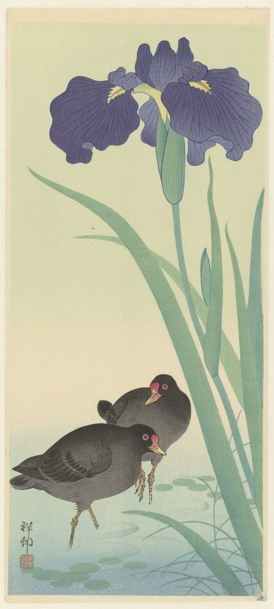 Kokoszka i irys. autorstwa Ohara Koson