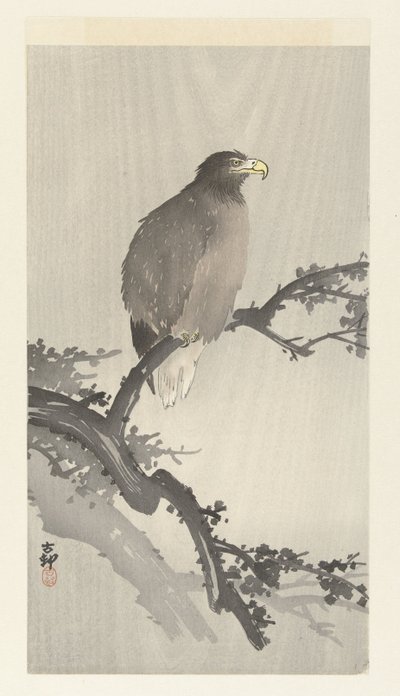 Bielik na gałęzi autorstwa Ohara Koson