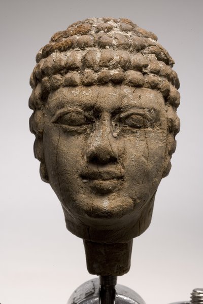 Głowa mężczyzny (drewno) (patrz także 249003 i 249005-6) autorstwa Old Kingdom Egyptian