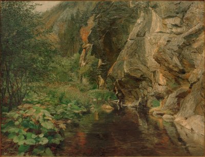 Kanion autorstwa Olga Wisinger-Florian