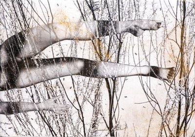 Gambe volanti, 2022 (mieszane media na drewnie) autorstwa Olivia Gozzano