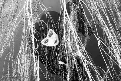 Ladra, 2023 (cyfrowe media mieszane) autorstwa Olivia Gozzano