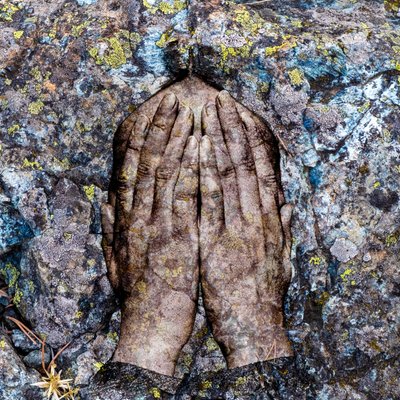 Licheni, 2024 (cyfrowe media mieszane) autorstwa Olivia Gozzano