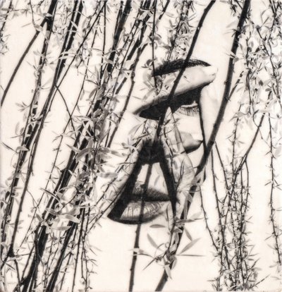 Maura, 2022 (fototransfer wosk pszczeli na drewnie) autorstwa Olivia Gozzano