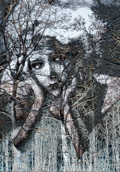 Portret zimowy w negatywie, 2021 (cyfrowe media mieszane) autorstwa Olivia Gozzano