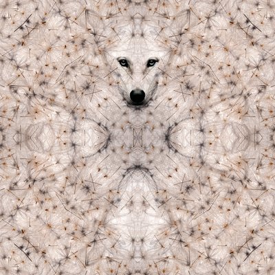 Semi lupus, 2023 (cyfrowe media mieszane) autorstwa Olivia Gozzano