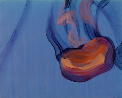 Méduses 5, 2013 (akryl na płótnie) autorstwa Olivier Morel