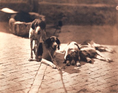 Psy myśliwskie, ok. 1853 (druk solny) autorstwa Olympe Aguado
