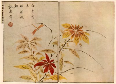 Ważka z roślinami, 1746, 1924. autorstwa Ooka Shunboku