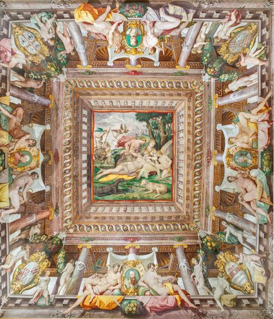 Widok na sufit Sali Adonisa i kamienie pamiątkowe członków rodziny Rossi, Gonzaga, Riario i Medici, Rocca dei Rossi, San Secondo, Parma, Włochy autorstwa Orazio (attr.to) Samacchini