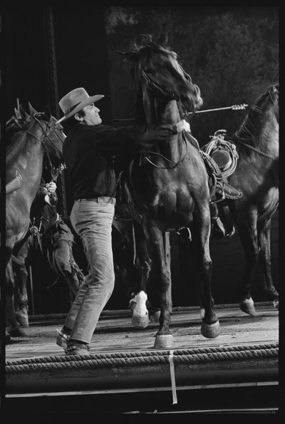Gregory Peck z koniem na planie „Złoto Mackenny” autorstwa Orlando Suero