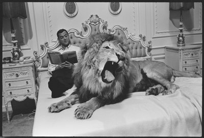 Tony Randall z lwem (Zamba), na planie „Fluffy” autorstwa Orlando Suero
