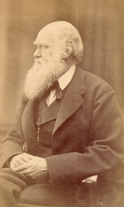 Portret Karola Darwina w wieku 72 lat, c.1871 (odbitka albumowa) autorstwa Oscar Gustav Rejlander