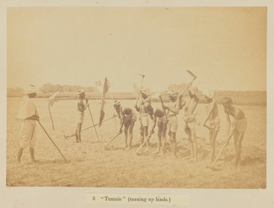 „Tumnie” (odwracanie ziemi) autorstwa Oscar Jean Baptiste Mallitte