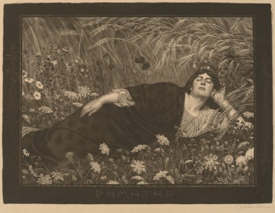 Dhamhatpi (Demeta) autorstwa Osmar Schindler