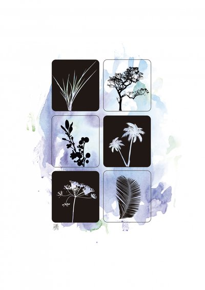 Botaniczne sylwetki w akwareli autorstwa Osvaldo Russo