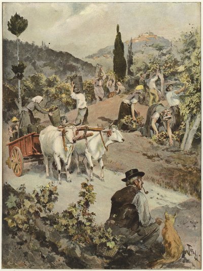 Sezon vintage we Włoszech autorstwa Oswaldo Tofani