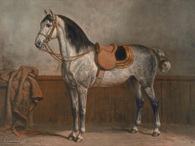 Lipizzaner autorstwa Otto Eerelman