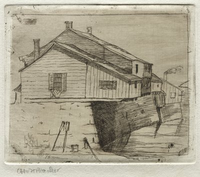 Domki, Cleveland, 1878 r. autorstwa Otto H. Bacher
